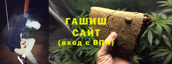 дживик Бородино