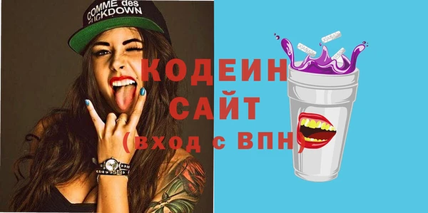 дживик Бородино