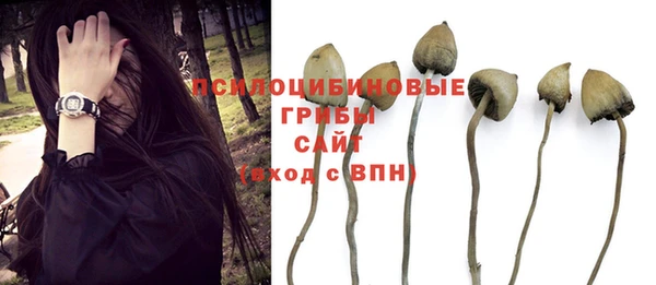 синтетический гашиш Бронницы