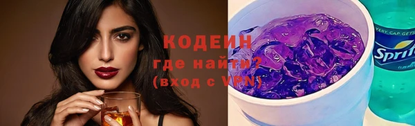 дживик Бородино