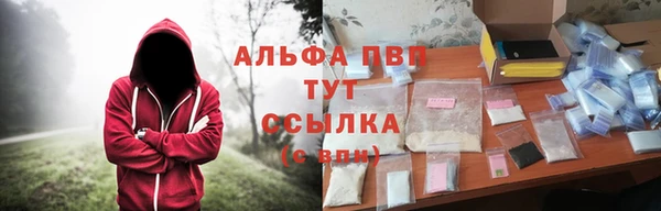 дживик Бородино