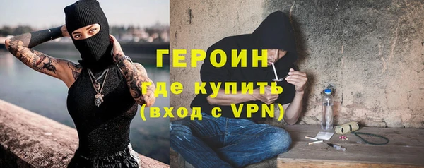 дживик Бородино