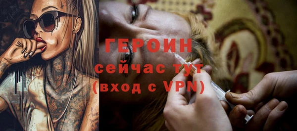 дживик Бородино