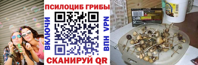 Псилоцибиновые грибы мухоморы  продажа наркотиков  Гатчина 